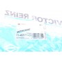 Прокладка колектора впускного Nissan Qashqai/Renault Clio 2.0 06-14