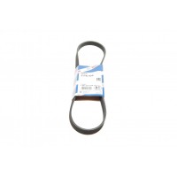 Ремень генератора BMW 3 (E36)/5 (E34/E39) 95-03 (M52) (5PK905)