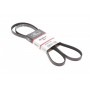 Ремінь генератора Toyota Land Cruiser 100 4.2 TD 98-07 (4PK1720)