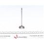 Клапан (впуск) Nissan Primastar/Opel Vivaro/Renault Trafic 1.8/2.0 98- (33.4x5.5x110.7)