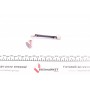 Щеткотримач стартера Peugeot Partner/Renault Trafic/Fiat Scudo/Citroen Berlingo/VW T6 (AMH0016)