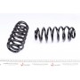 Комплект пружин (Pro-Kit) VW Passat 05-14 (4 шт.)