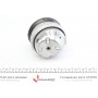 Подушка двигуна (R/L) MB E-class (W211) 2.2CDI 02-08 (замінено на 31956)