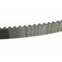 Ремінь ГРМ Mitsubishi Galant 2.0/GLSI/Space Wagon 2.0 92-98/L200/L300 2.0 94-07 (29x123z)