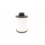 Фільтр паливний Fiat Ducato/Citroen Jumper/Peugeot Boxer 2.2/2.3/3.0MJTD/HDI 06-