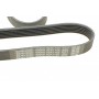 Ремінь генератора VW LT 2.5TDI 96-01/Peugeot Expert 1.9D/2.0HDI 98-