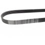 Ремінь генератора Citroen C1/Peugeot 107/Toyota Aygo 1.0 i 05-14 (6PK850)