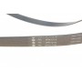 Комплект ременя генератора Citroen Jumpy/Fiat Scudo/Peugeot Expert 2.0HDi  04- (6PK1218)