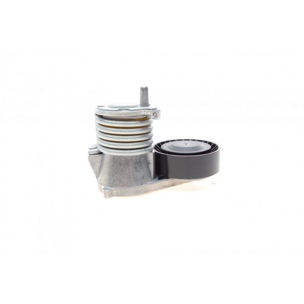 Натяжник ременя генератора Ford Focus/Volvo C30/C70/S40/V50/XC90 04-14
