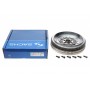 Демпфер зчеплення VW T5 2.0TDI/BiTDI/4motion 09/09- (DSG)