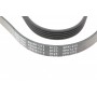 Ремінь генератора Hyundai i20/ i30 1.4 08-/ Toyota Avensis/ Carina 2.0 96-03