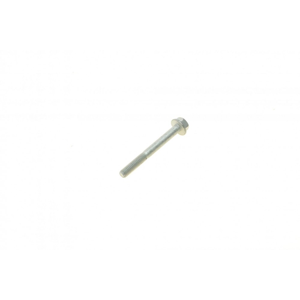 Болт (M6x1x55mm)