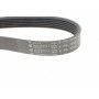 Ремінь генератора Land Rover Range Rover III 4.4 D 10-12 (6PK2515)