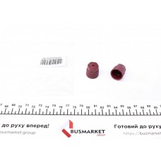 Сервісний ковпачок заправочних портів (ВТ) (2 шт.)