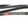 Ремінь генератора Renault Master 2.2/2.5 dCi
