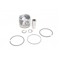 Поршень Ford Connect 1.8TDCI 06-13 (82.50mm/STD)