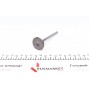 Клапан (впуск) Daewoo Lanos 1.6 16V 97- (30.3x6x102.4) (азотований)