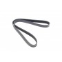 Ремінь генератора VW T4 2.8VR6 00-03 (7PK1281)