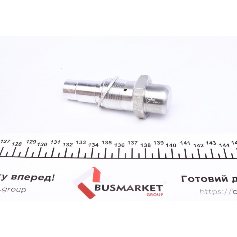 Натяжник ланцюга ГРМ (к-кт) BMW 3 (E36)/5 (E60)/7 (E65) 2.0-3.0 90-10