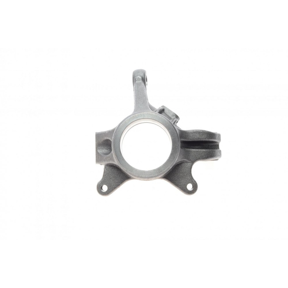 Кулак поворотний (цапфа) Renault Master 98-06 (d=22mm) (R)