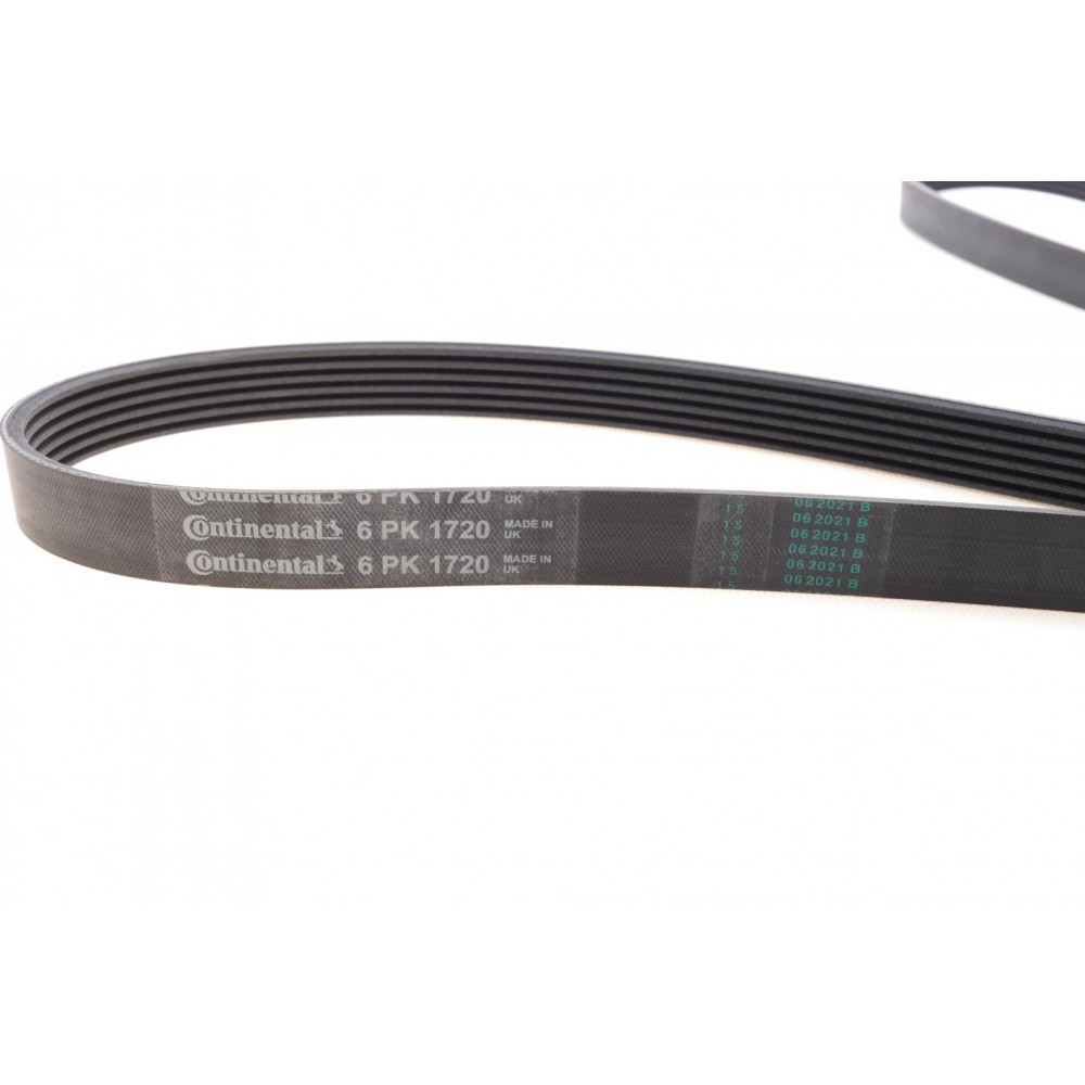 Ремінь генератора Ford Connect 1.8 TDCI