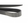 Ремінь генератора Citroen Jumper/Fiat Ducato/Peugeot Boxer 2.0/2.2HDi/JTD 02- (6PK1182)