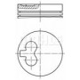 Поршень VW T4 1.9-2.4D (79.76mm/+0.25)