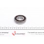 Підшипник КПП Renault Megane II/III/Scenic II/III (30x72x16.50), вторинний вал