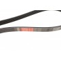 Комплект ременя генератора Hyundai Elantra/Tucson/I30/Kia Ceed 2.0 04- (4PK890/4PK855)