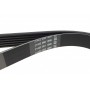 Ремінь генератора VW Caddy III/Golf III/Passat/T4 1.9D/TD (TP)