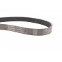 Ремінь генератора Renault Megane/Laguna/Scenic 2.0 dCi 07-/Peugeot 508 2.0HDI 18-