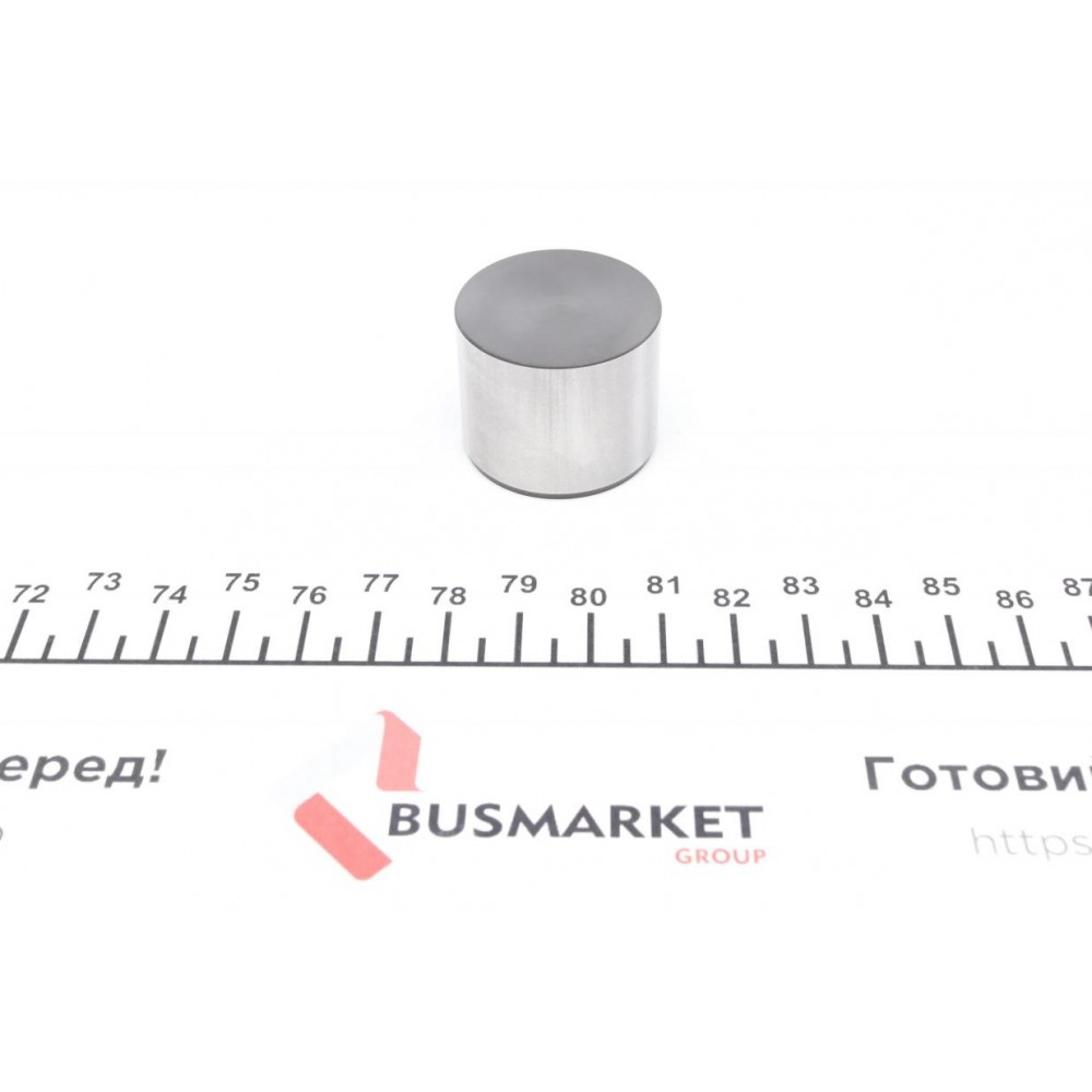 Гідрокомпенсатор Lexus GS/LS 97-06