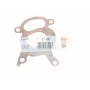 Прокладка турбіни BMW 3 (f30/f80)/5 (F10)/X5 (F15/F85) 11-18 N47 D20 (к-кт)