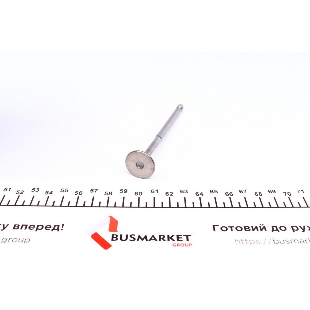 Клапан (впуск) Fiat Doblo/Idea/Panda/Punto 1.3JTD 16V 04-10 (22x6x109.3) (азотований)