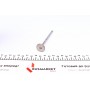 Клапан (впуск) Fiat Doblo/Idea/Panda/Punto 1.3JTD 16V 04-10 (22x6x109.3) (азотований)