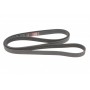 Ремінь генератора VW T4 2.5 90-03/Ford Fiesta/Mondeo 1.8/2.0 00-08/Jeep Grand Cherokee 4.7 01-08