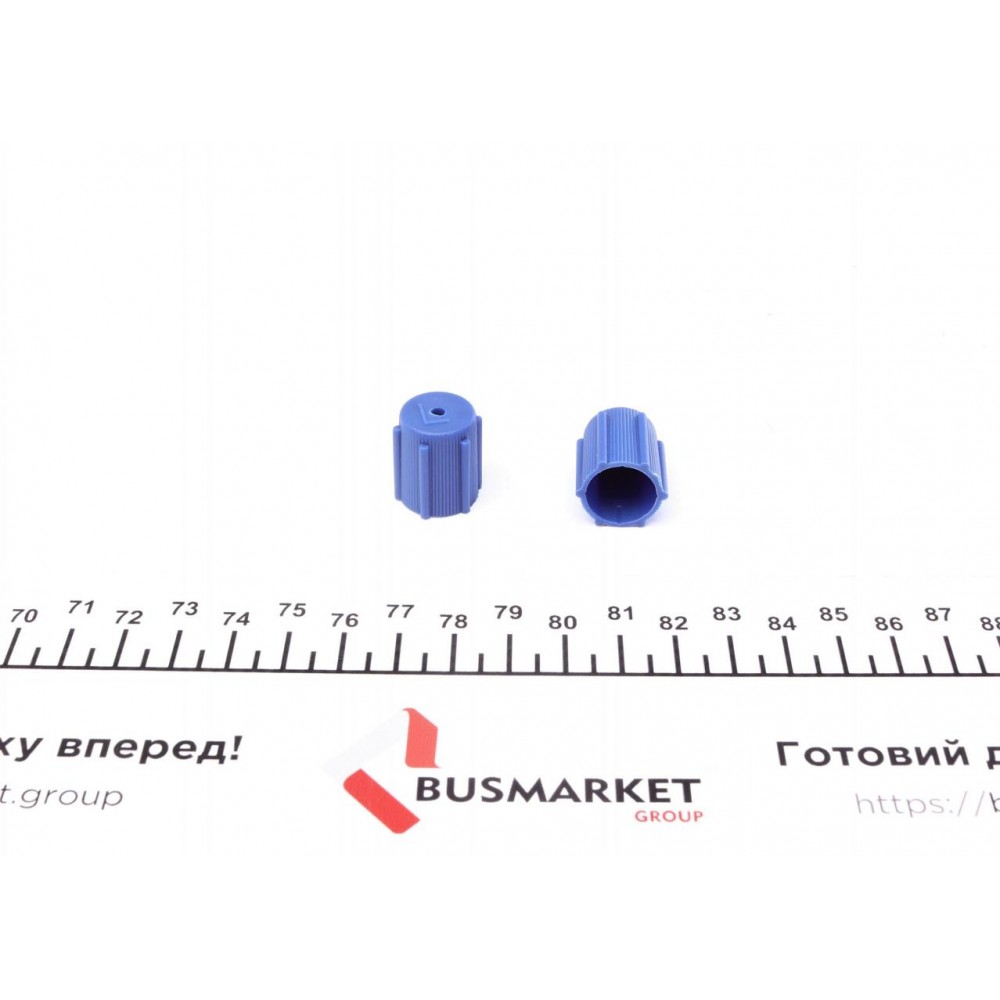 Сервісний ковпачок заправочних портів (R134a) (НД) (2 шт.)